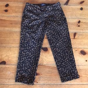 Leopard Harper pants. Must go NOW!!!